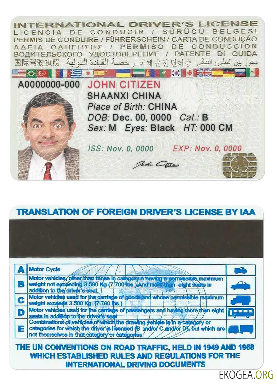 International driver’s license
